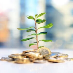 Gestione Amministrativa e Finanziaria